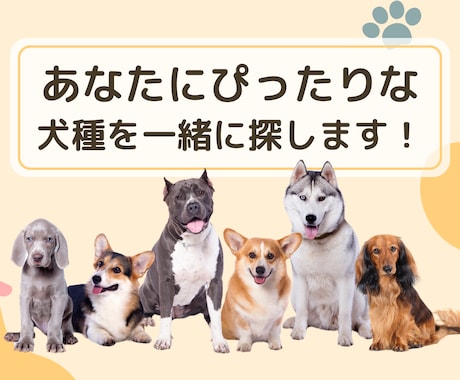 犬を飼いたいあなたの犬種選びを手伝いますます あなたの性格やライフスタイルに合った犬種をご提案します イメージ1