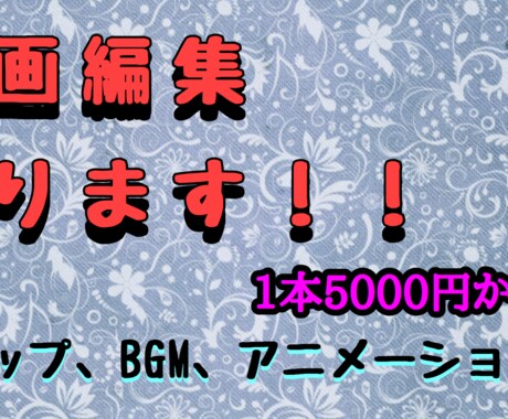YouTube動画編集承ります ほんの少しの編集で見やすくなる! イメージ1
