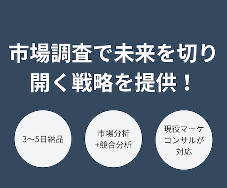 スタートアップ向け！市場分析/競合分析します 経営のプロが、市場を制し、競合を超えるデータ戦略を提供！ イメージ1