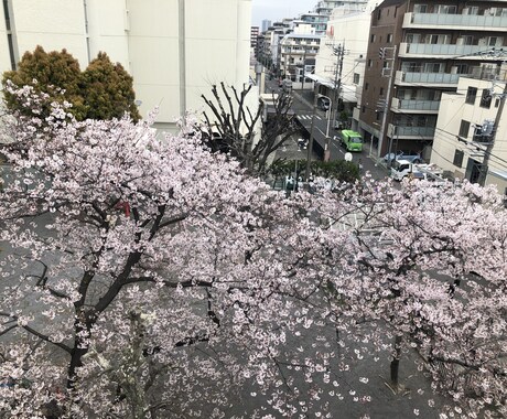 自分の気持ちに気付くお手伝いをします まず自分を理解し、周りの人を理解して、幸せを探しましょう。 イメージ1