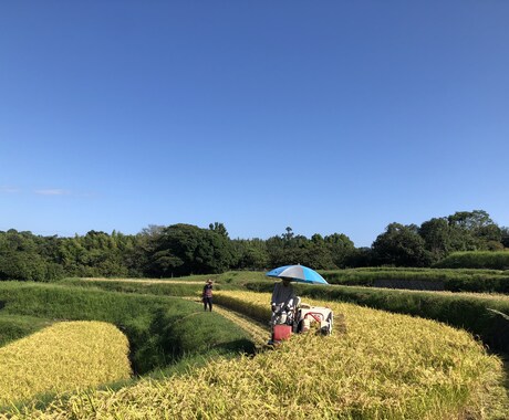 元気☆もりもりでます とにかく元気が欲しい！背中押して！☆happyが欲しい！方♡ イメージ1