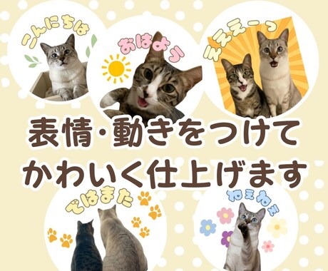 ペットの写真を表情豊かにLINEスタンプ化します 表情＆動きをつけてかわいさ120%UPでスタンプ化！ イメージ2