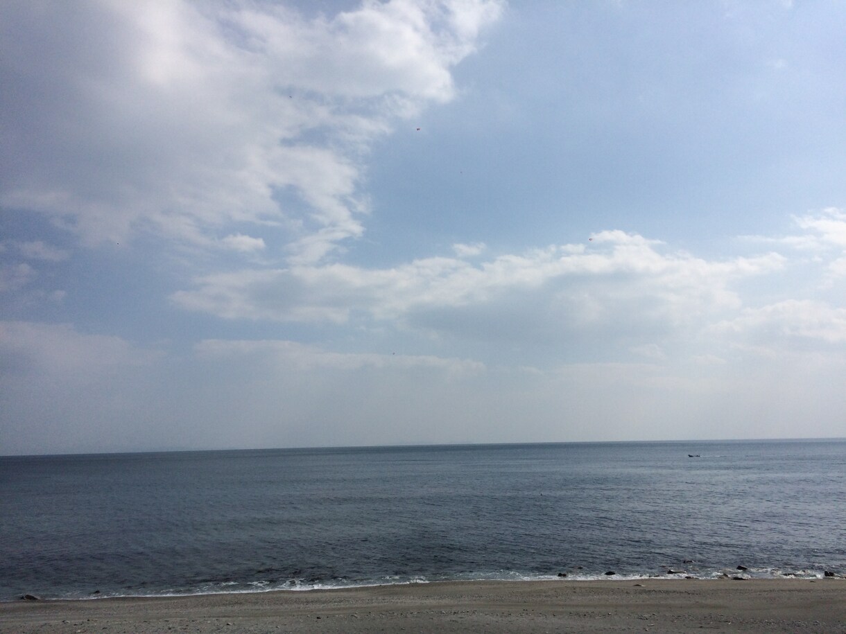 toshidesuさん専用でごさいます 1記事前回と同じ内容にてブログ記事を作成致します。 イメージ1