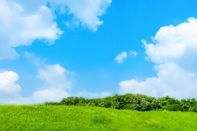 NEW✨【NLP】自分を慈しむためのガイドをします 自己肯定感を高める前に必要なことは【自己受容】です。 イメージ4