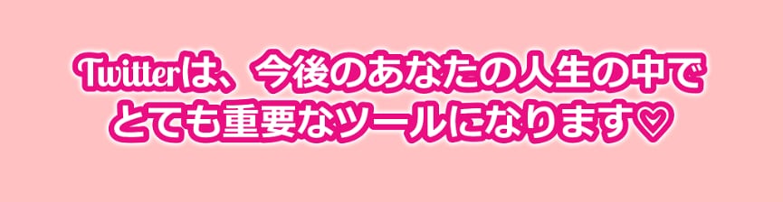簡単！Twitterのフォロワーの増やし方教えます Twitterでフォロワーを25日で5,000人増やした方法 イメージ6