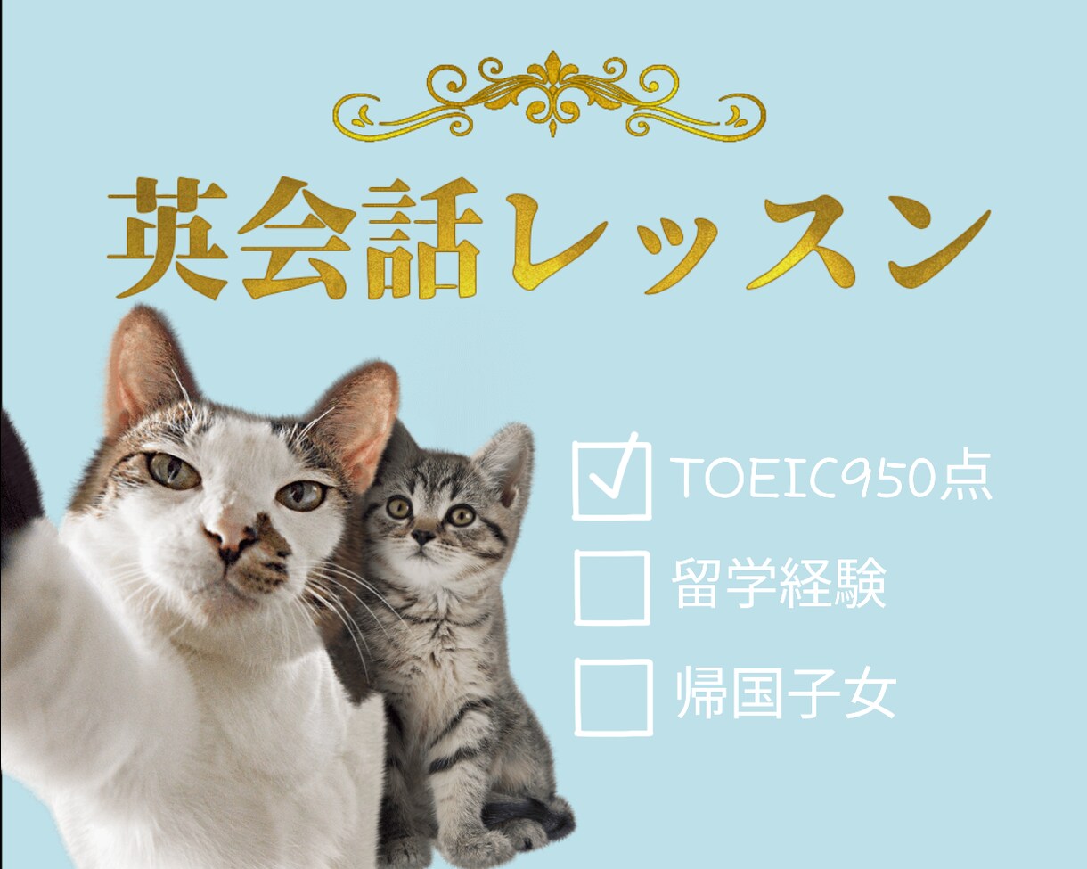 TOEIC950純ジャパが英会話の練習お相手します 英会話練習したいけど、いきなりネイティブは不安な方に最適です イメージ1
