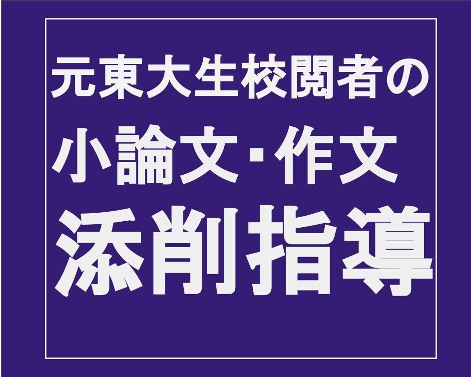 元東大生校閲者が小論文・作文の添削指導をいたします 大手マスコミでの校閲経験を生かして丁寧に添削指導 イメージ1