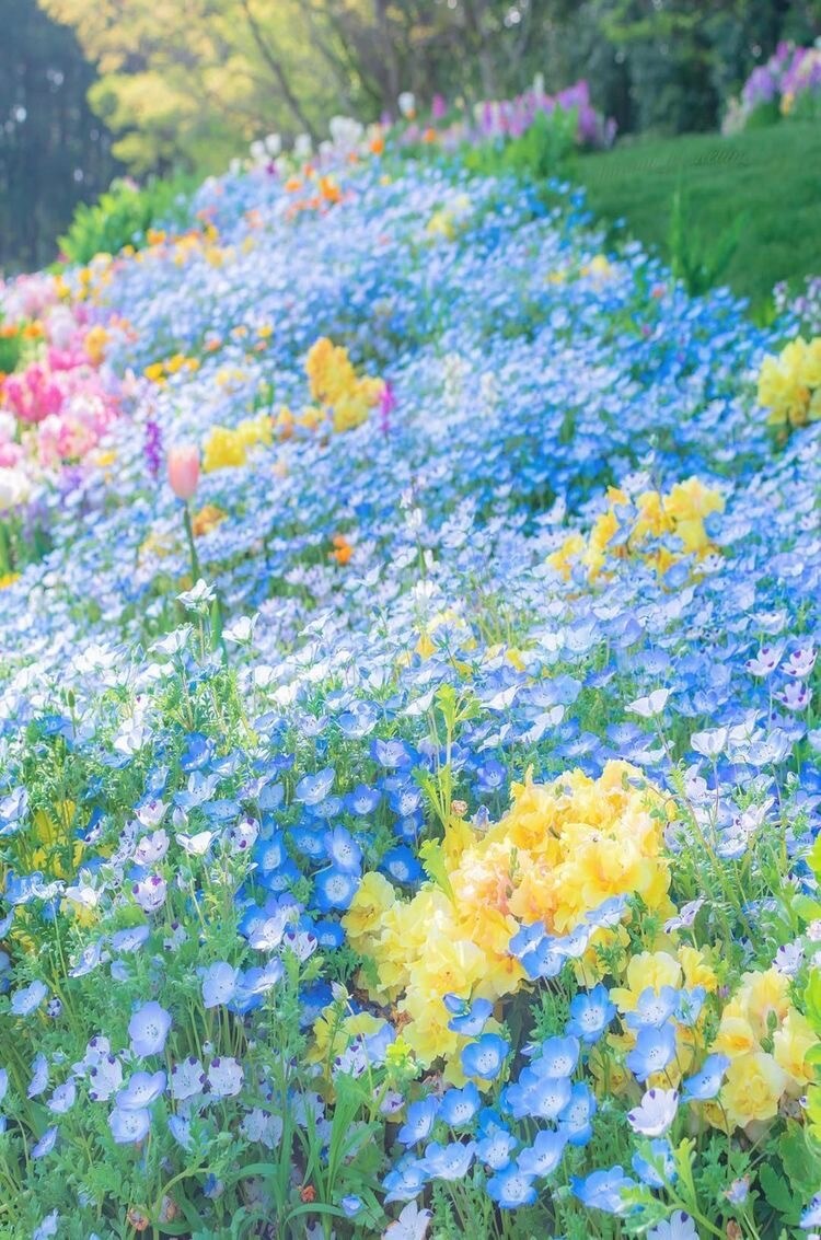 平凡な主婦だけど❤️あなたのお話し受けとめます 愚痴➰相談➰秘密の話　平凡な主婦だから共感できる事あるんです イメージ7