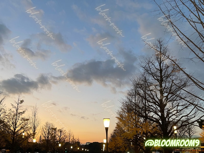 都内の写真撮影代行いたします なかなか都内に行けないけど自分だけの写真が欲しい方 イメージ7