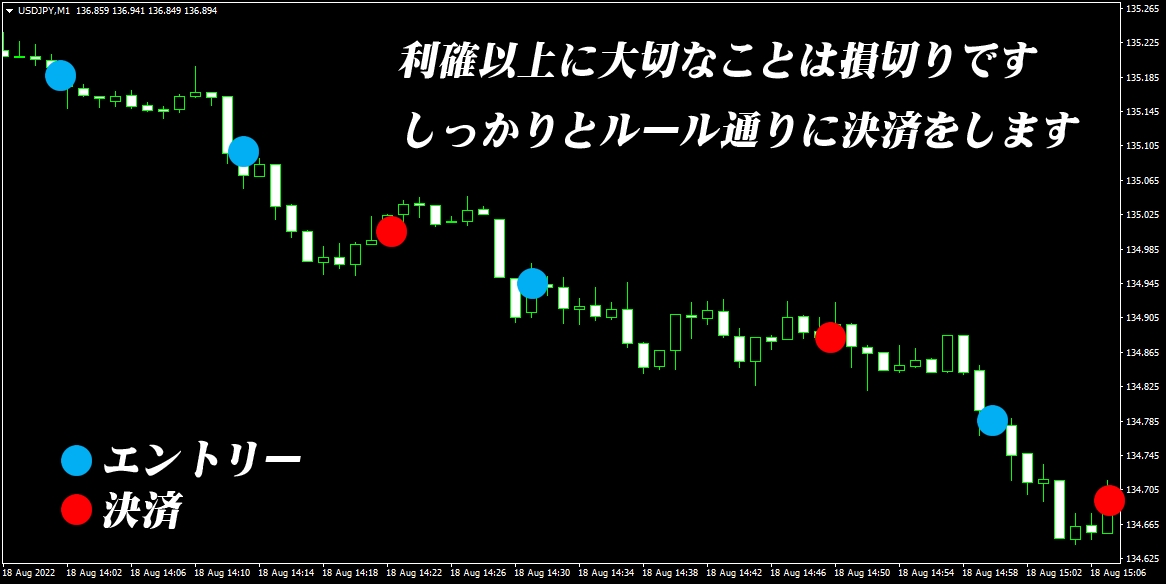 FXの専業トレードでマスターした手法を伝授します 長年FXで取引して来た秘伝の安定型トレード手法です。 イメージ6