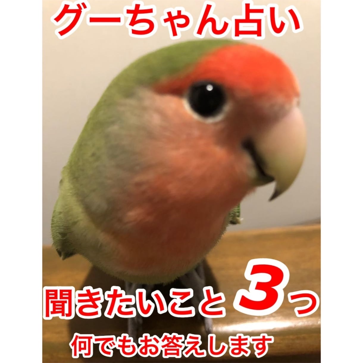 ぐーちゃんがイエスノーを占います イエスノーで答えられる質問を3つぐーちゃんが答えます。 イメージ1