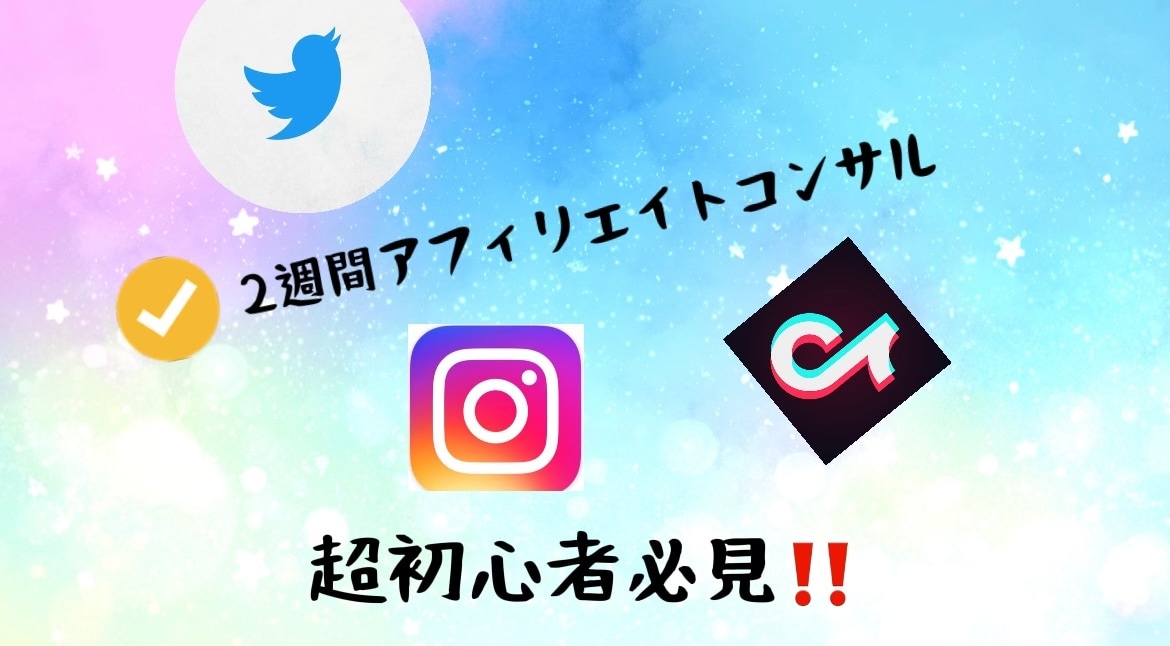 ２週間SNSだけでアフィリエイト！！コンサルします ２週間SNSだけ使用したアフィリエイト方法を伝授 イメージ1