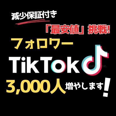 TikTokフォロワー3000人増やします 最初の5名まで業界最安値に挑戦！ イメージ1