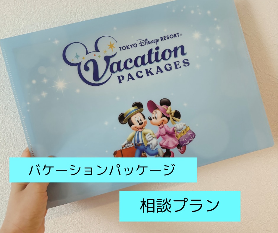 バケーションパッケージの相談のります 【バケパ相談】【バケパプランの添削】☆ビデオチャット イメージ1
