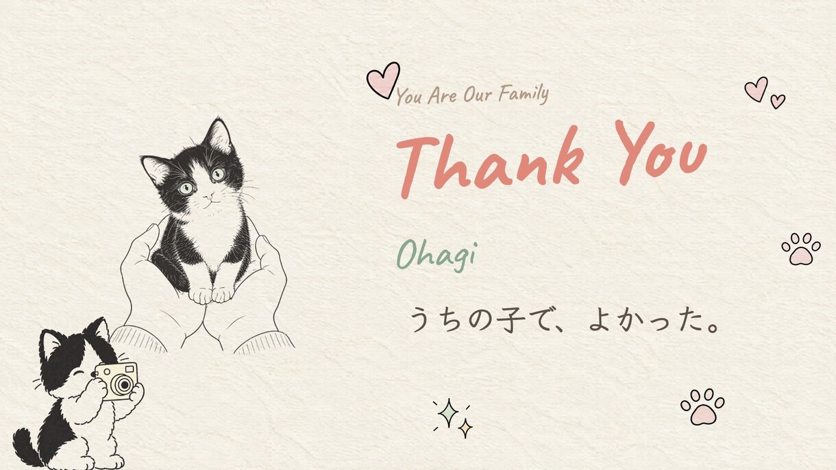 犬猫OK！作風が選べるペット動画作ります お気に入りで15%オフ 作風を2つから選べる イメージ5