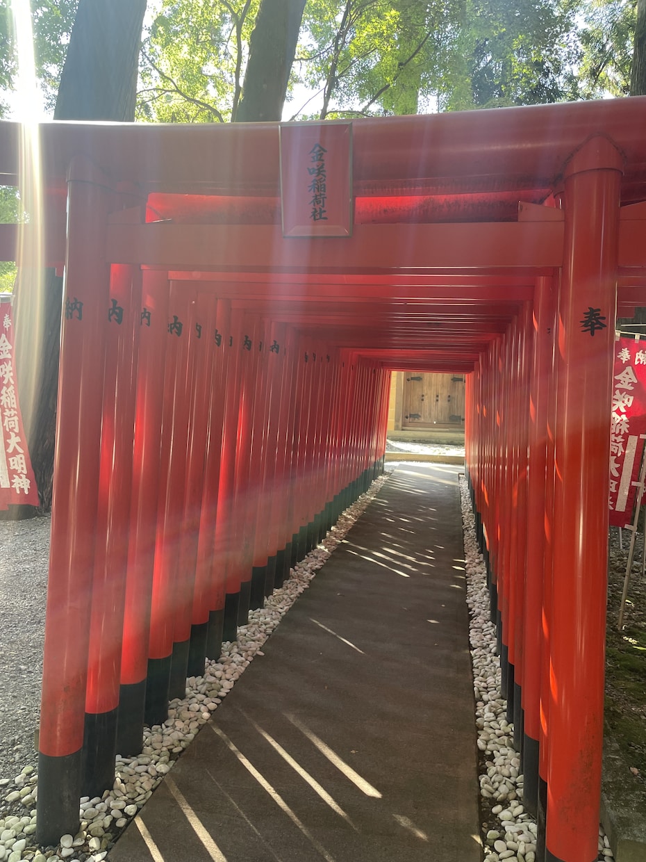 リピーター様専用✨2回目以降の方のみ霊視します お相手のお気持ち・守護霊様に繋がり霊視✨仕事・人生もお任せ◎ イメージ7