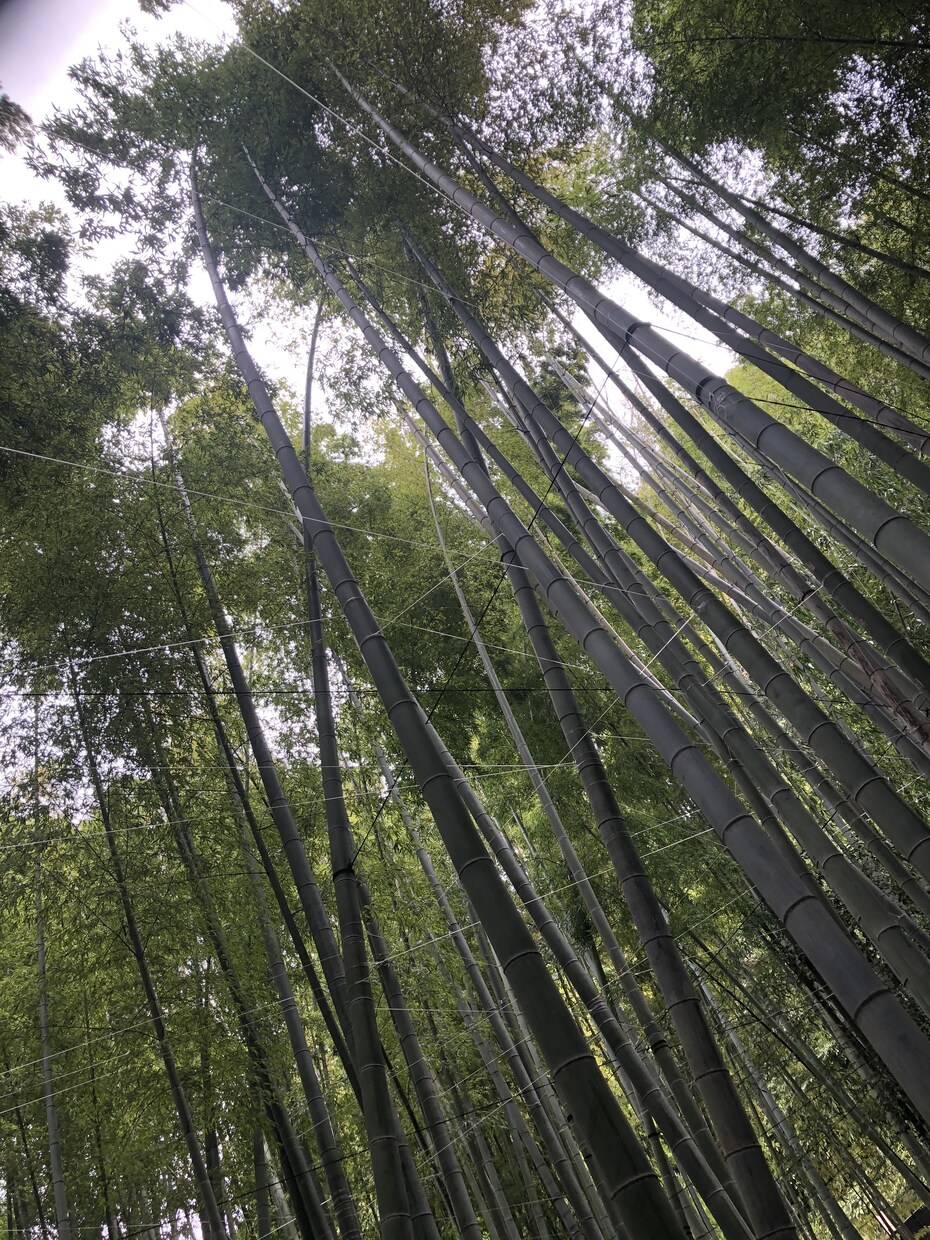 あなたの声を聞きたい。受け止めます 生きる意味とか居場所を一緒に探しましょう！ イメージ4