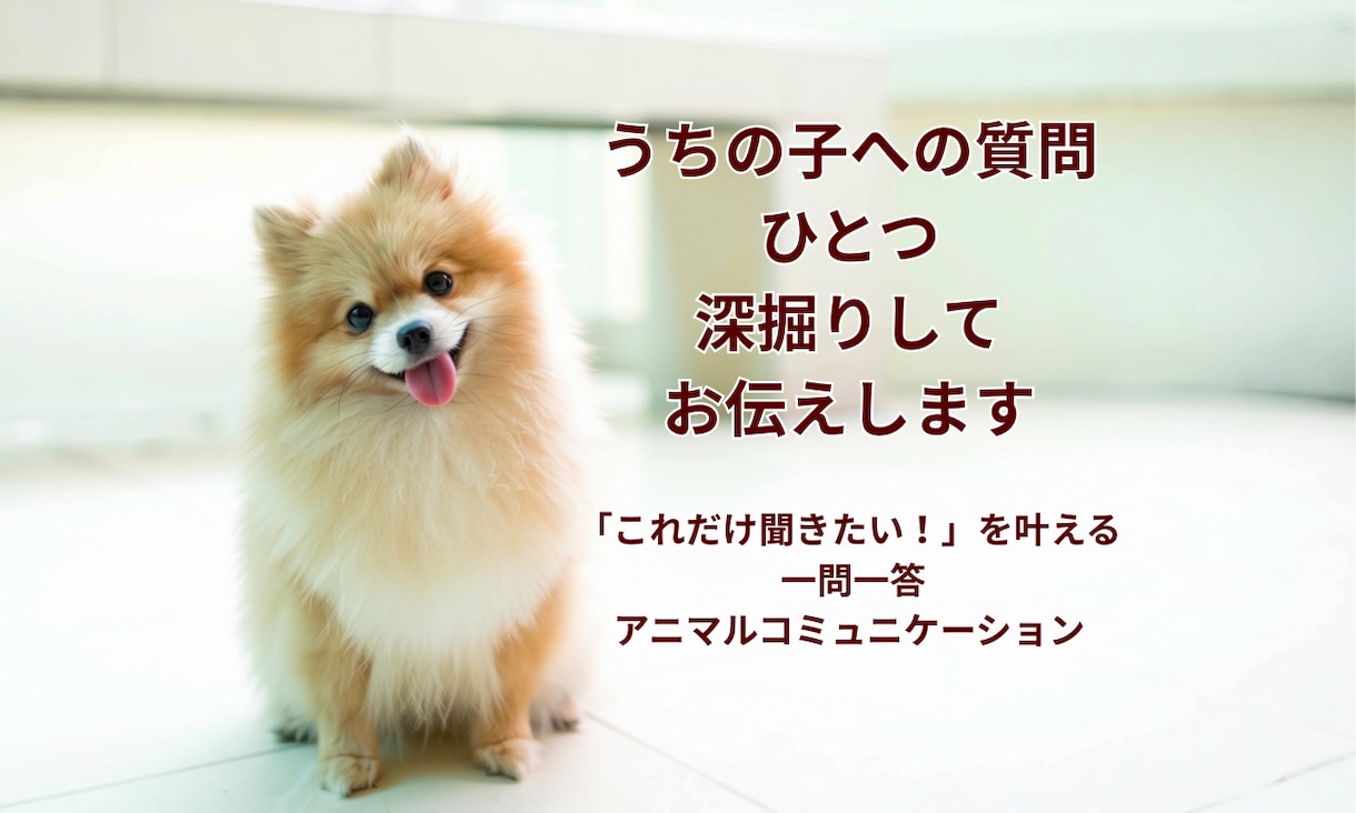 アニマルコミュニケーションで質問1つを深掘りします これだけ聞きたい！を叶える一問一答アニマルコミュニケーション イメージ1