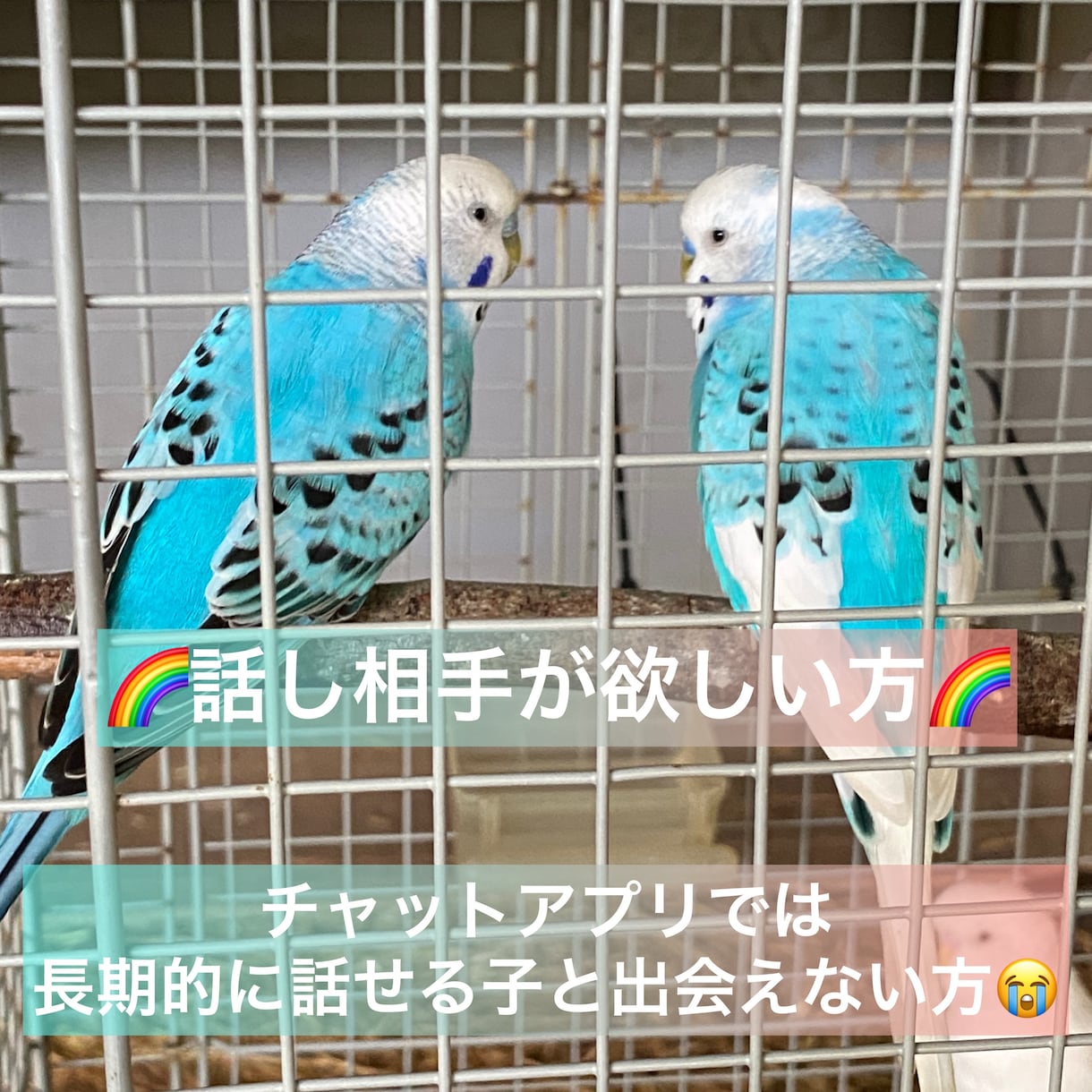 9:00〜22:00の間で無制限でお話します 反応が欲しい！メッセージが欲しい！という方におすすめです☆ イメージ2