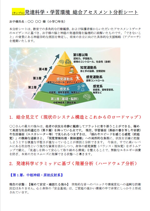 素質科学総合アセスメントシートを作成します 『発達』について「脳・感覚及び気質」をクロス分析 イメージ1