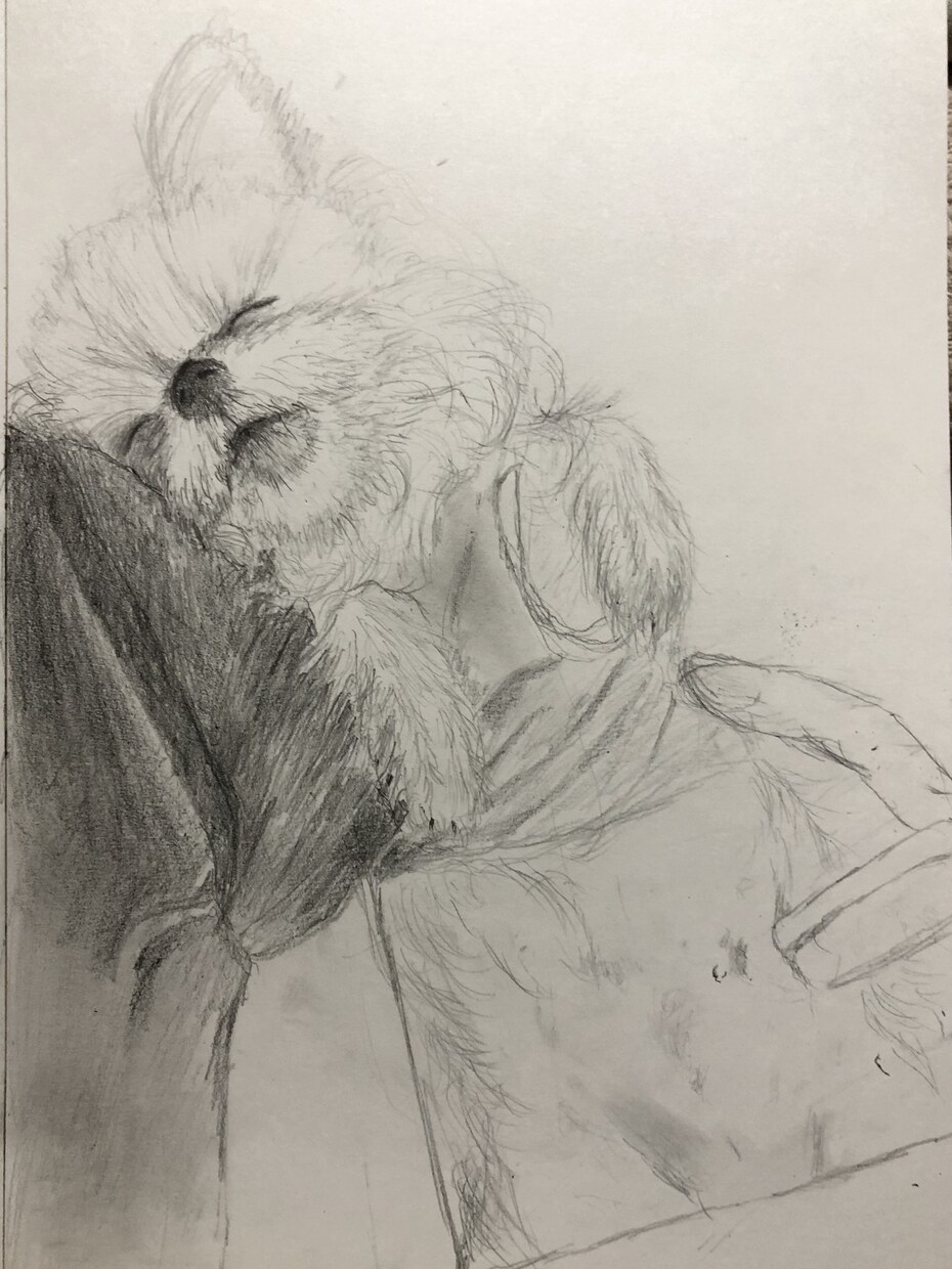 愛しいわんこさんの日常描きます 一緒にいた心地よい光景を描かせて頂きます。心に触れる絵 イメージ10