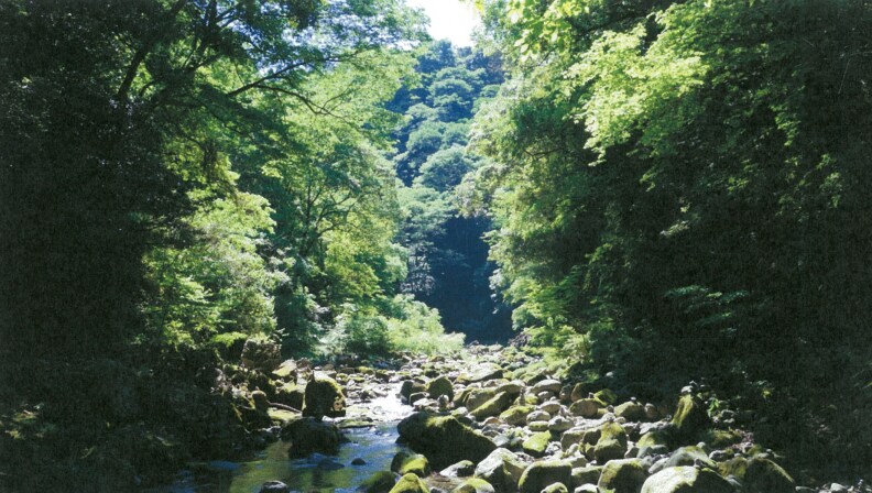 強力な生命力と浄化のエネルギーアチューメントします 【天照大御神の陽輝 宝鏡】のエネルギー イメージ1