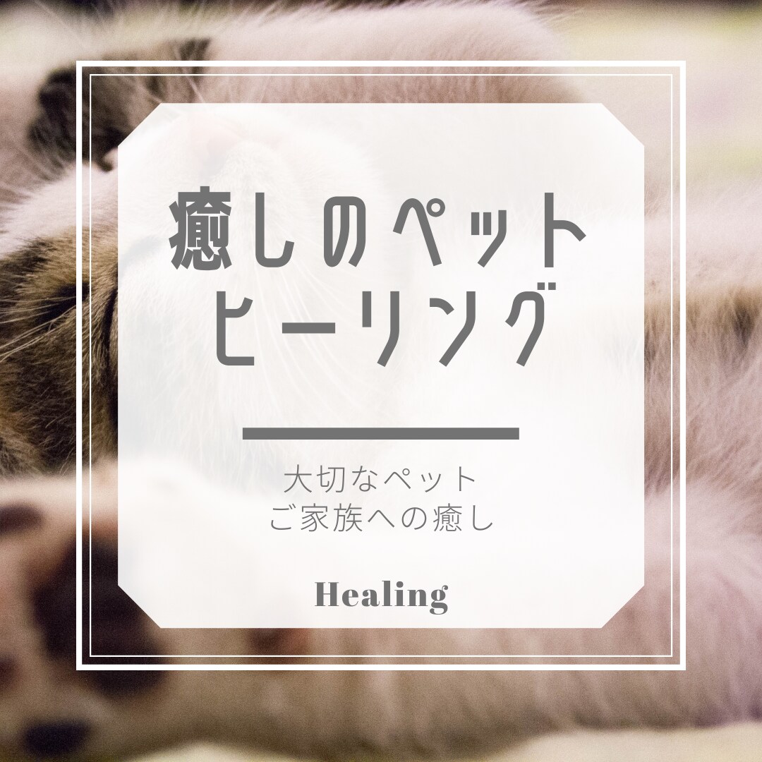 大切な家族（ペット）にご褒美⭐️ヒーリング致します エネルギーセラピー癒しのヒーリング⭐️大切な家族へリラックス イメージ5