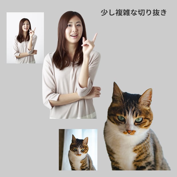 画像の切り抜き・加工承ります ご面倒な切り抜き・加工を「限定価格で」迅速・丁寧に承ります。 イメージ2