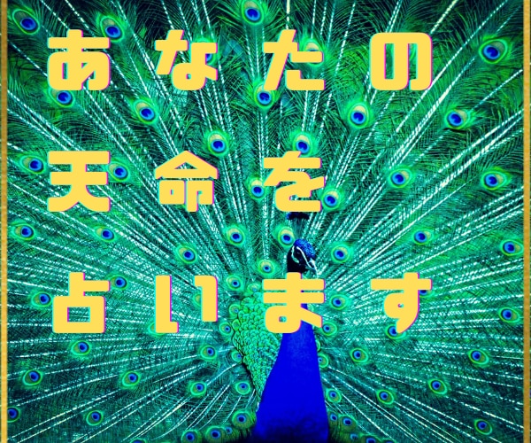 私たちは自らの天命を知ると生きる事が楽になります 天命は貴方の魂の有り様です♡人生を受け入れて楽しみましょう♡ イメージ1