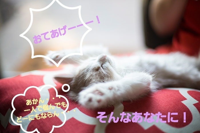 心の支援の専門家があなたに寄り添います 悩んじゃったら話せばいい！一緒に気持ちの整理整頓しましょう！ イメージ1