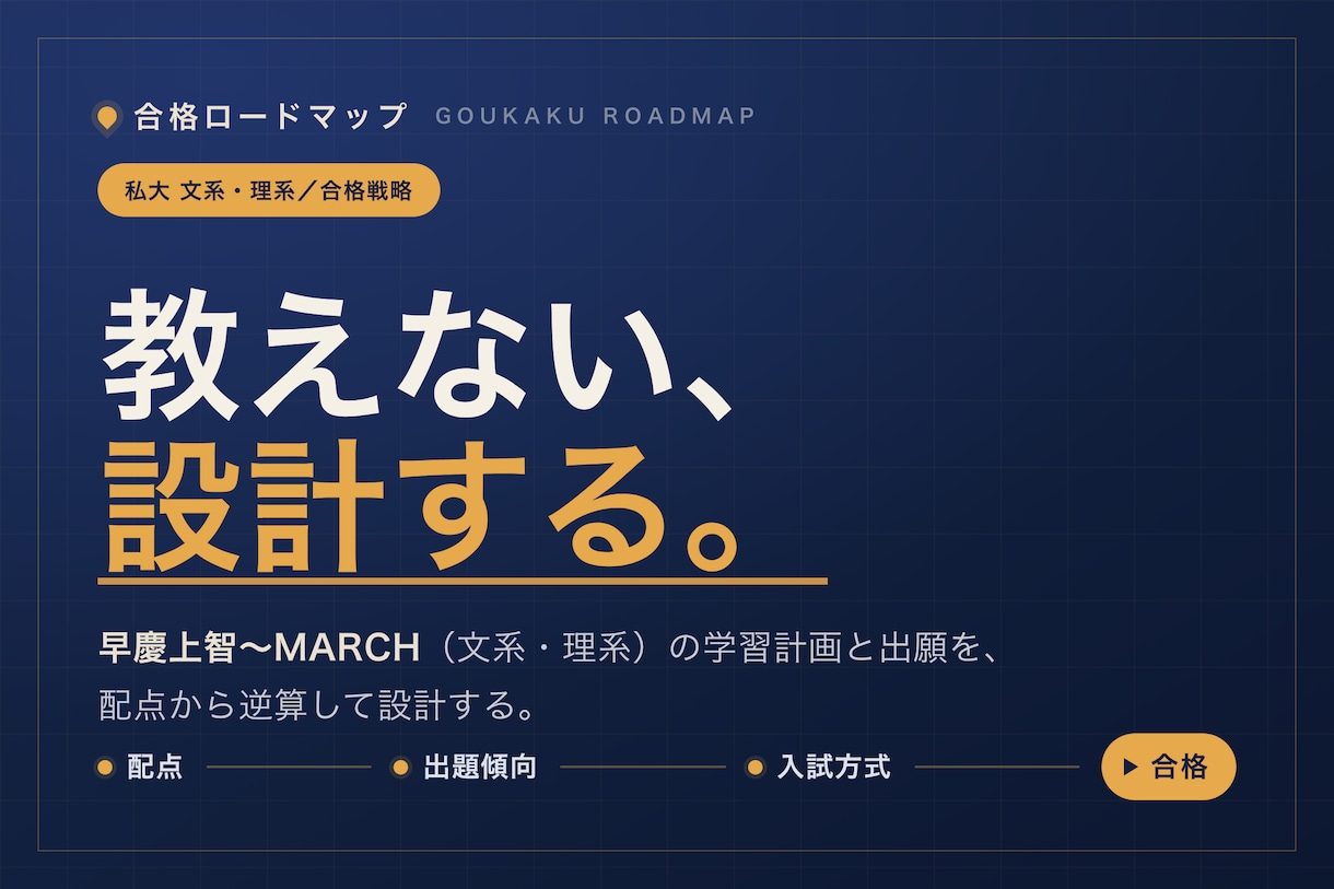 私大文系・理系の合格戦略を設計します 合格までの最短ルートを、今日やる1ページまで設計 イメージ1
