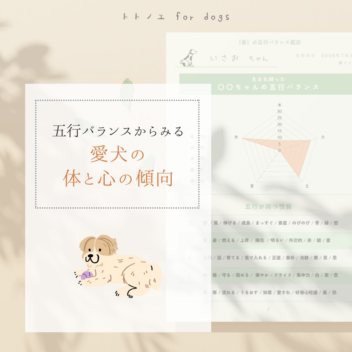 春のエネルギーと愛犬の生まれ持つ五行をひも解きます 愛犬に寄り添ったケアを取り入れて、暖かく幸せに包まれた春に イメージ3