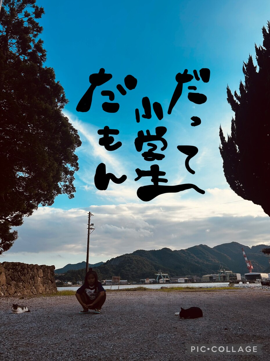 あなたの画像にお好きな文字を入れます 写真＋言葉で、心に残る一枚を。 イメージ1