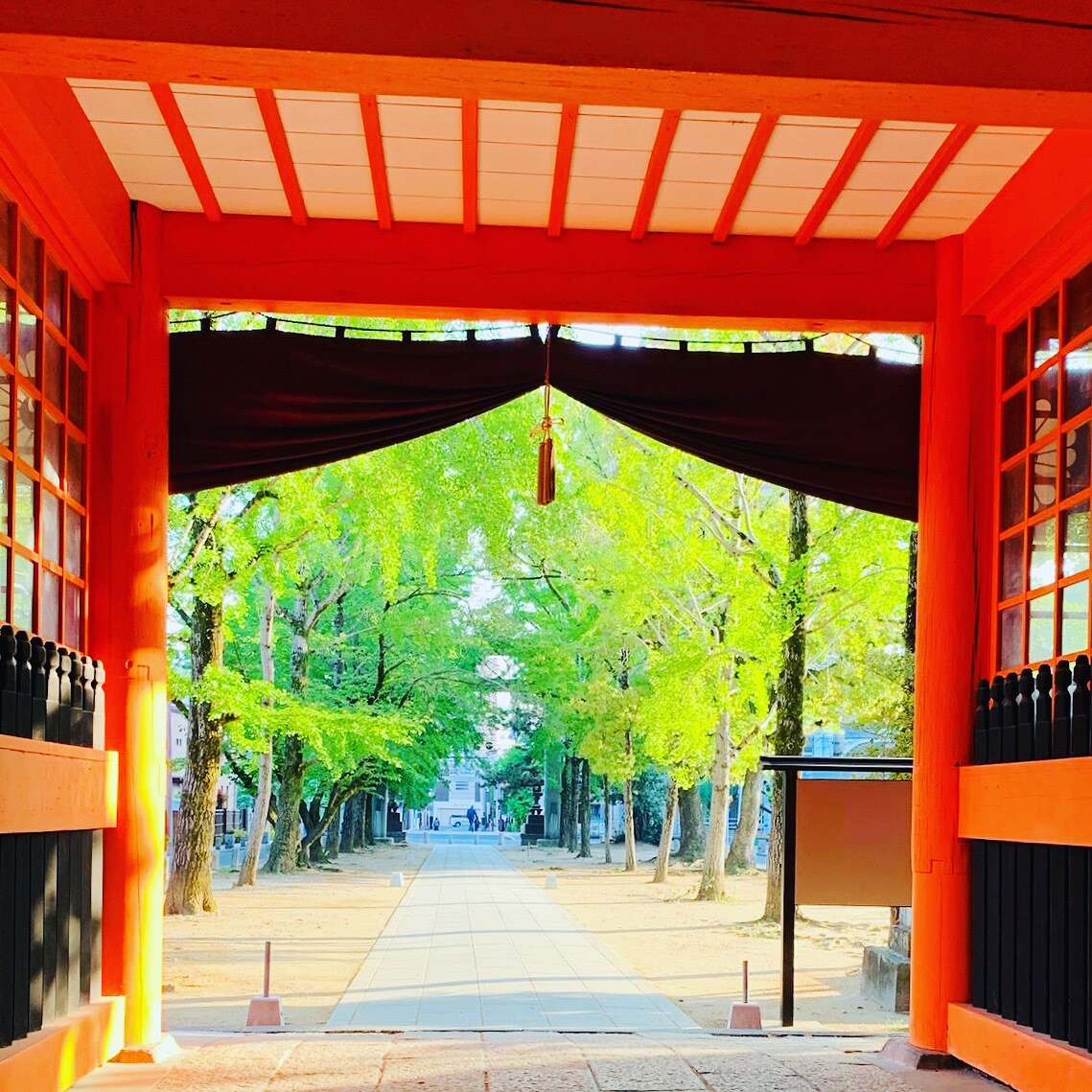 生まれてくるお子さまの画数診断を致します 占い歴12年以上のママ占い師が、ご家族単位で占います♪ イメージ1