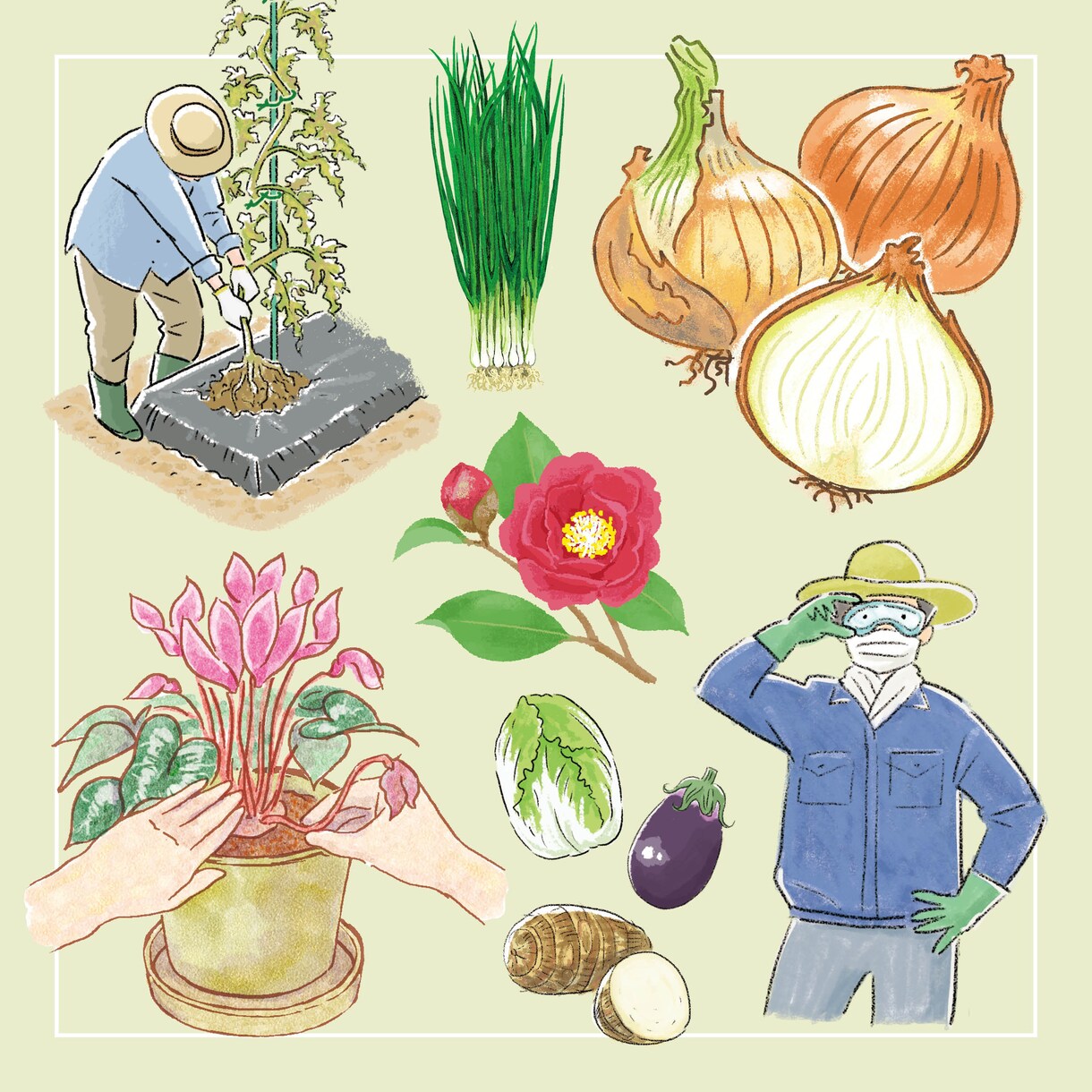 園芸関連のイラストを描きます 水彩、線画、シンボルなど、どんなタッチでもOK！ イメージ2