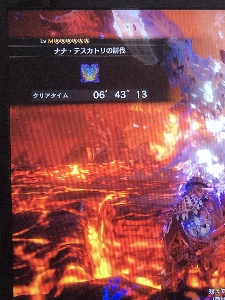 モンハンワールドアイスボーン手伝います 大学生ハンターです！MR819HR999 イメージ2