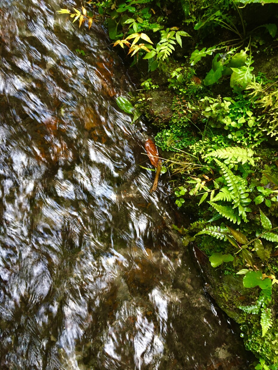 ご依頼に応じた写真撮影＋編集をします 安く!写真を使ってデザインしたい時!うまく決まらない時に! イメージ2