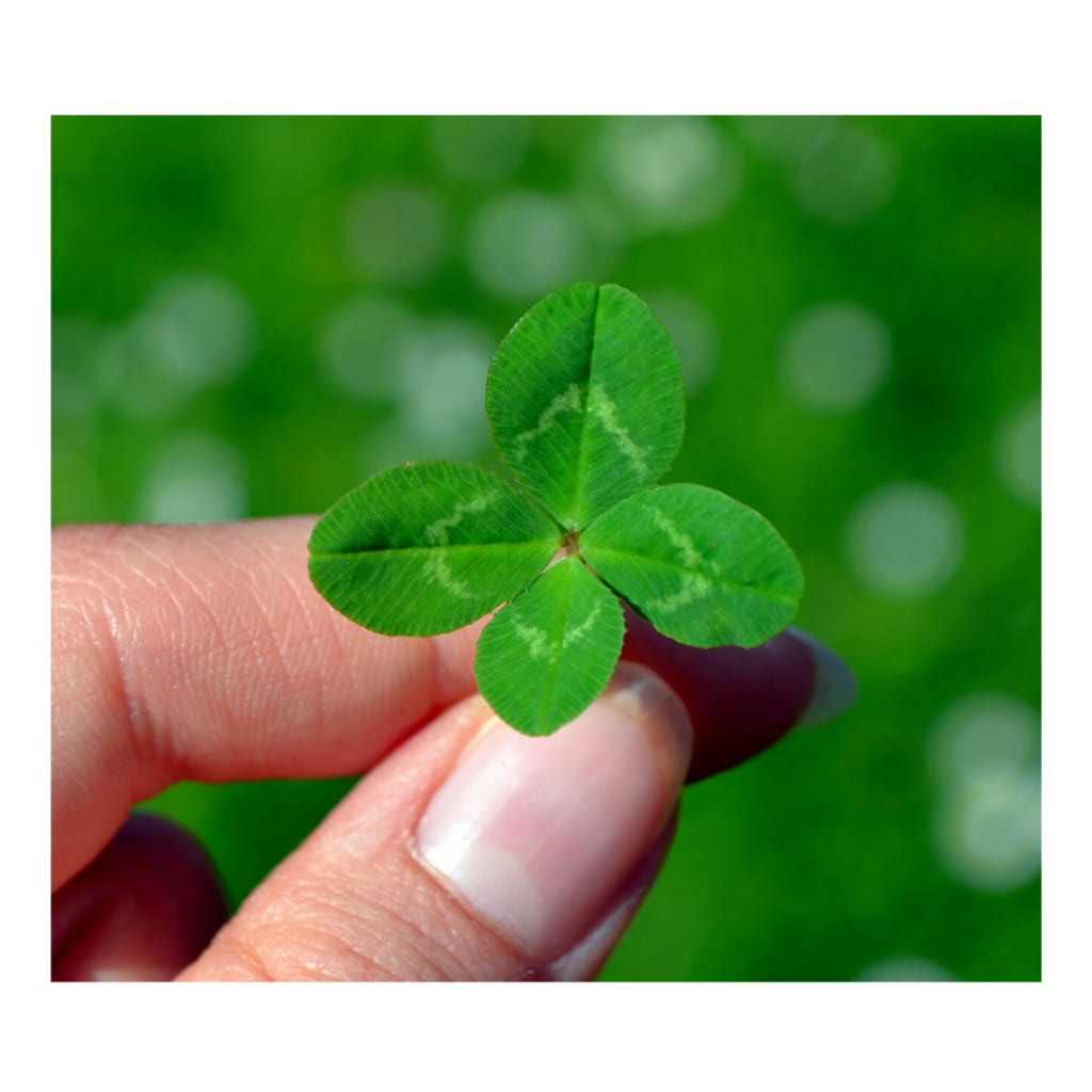 ６０日以内あなたの転機を鑑定します 幸せへの第一歩を踏み出しませんか？ イメージ1