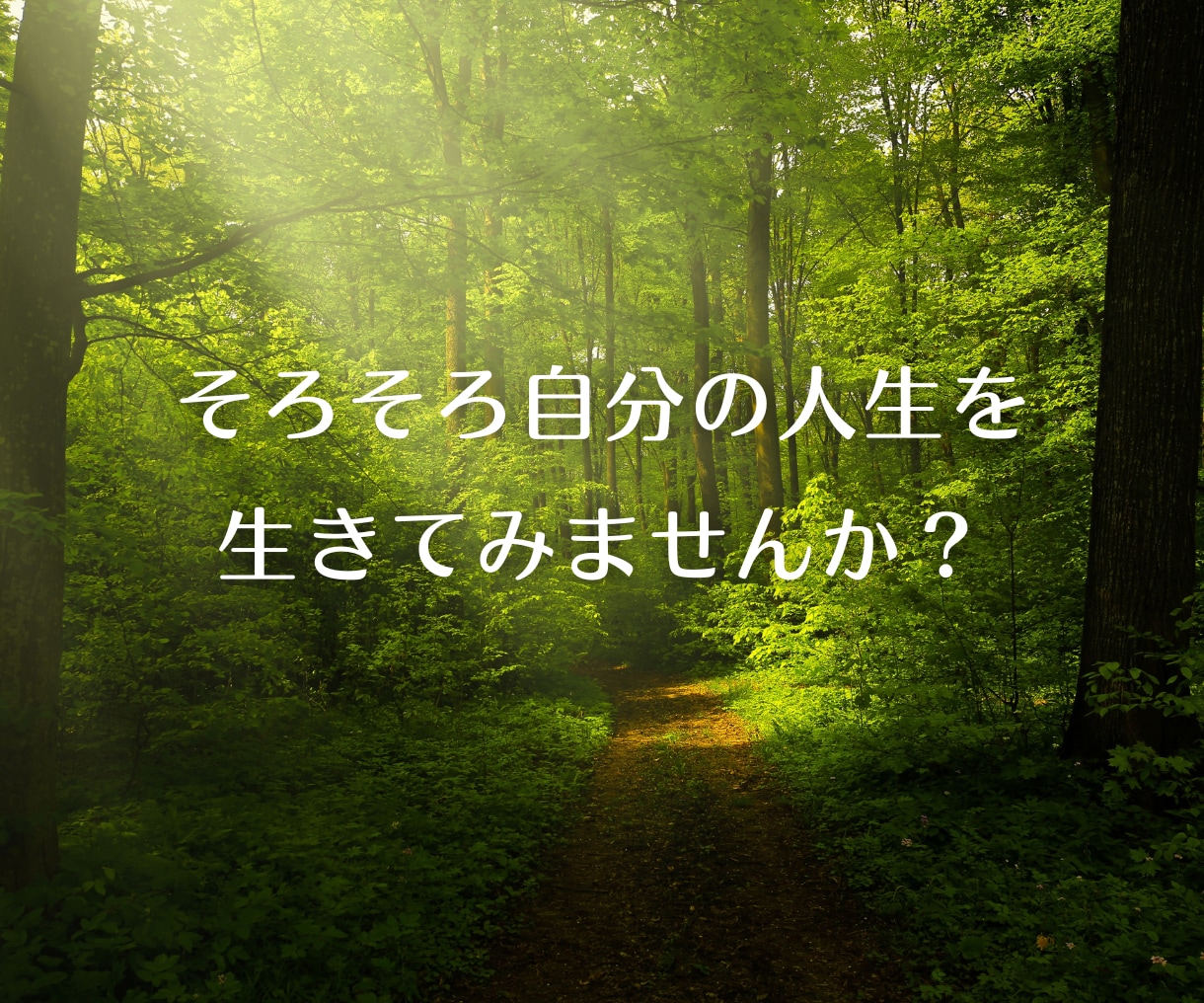 自分の人生の目的、使命を把握して人生最適化します 人生に満足出来てない方、上手く行く方法はシナリオを知る事 イメージ5