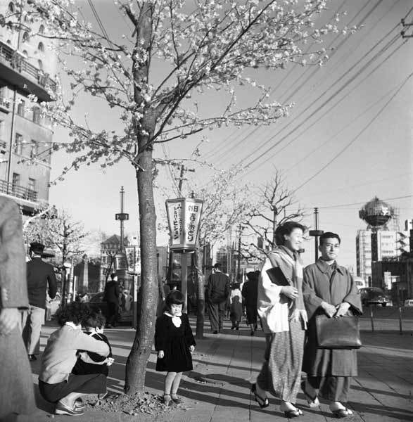 モノクロ写真をカラー写真にします 想い出のモノクロ写真をカラーで蘇らせます。 イメージ5
