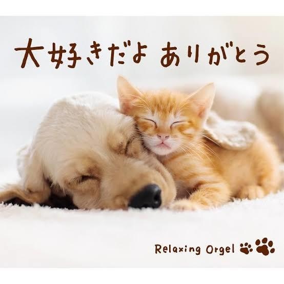 あなたのモヤモヤした辛い気持ち聞きます 今は辛いけど、一歩踏み出して幸せの階段を‼︎ イメージ2