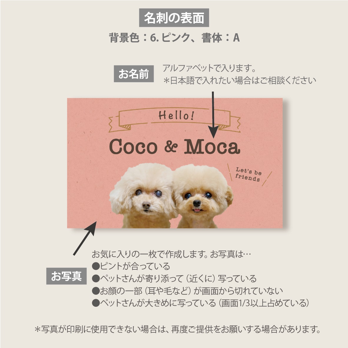 多頭ペット写真名刺｜犬猫うちの子で名刺制作します スマホ撮影OK! 色と書体が選べるセミオーダー100枚送料込 イメージ2