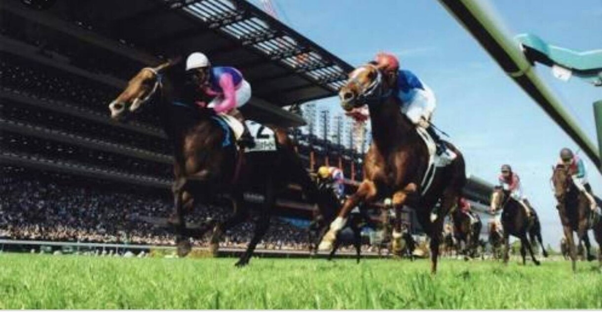 競馬投資☆競馬予想☆初心者でも簡単に買い目出せます この方法なら3連単、3連複、馬単、馬連、単勝どれでも使えます イメージ1