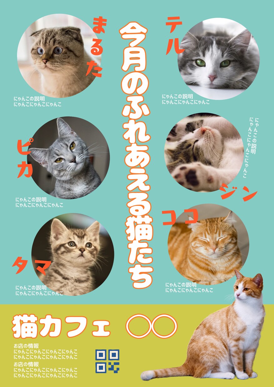 猫カフェの猫紹介、部活の選手紹介など作成します Canvaで作成！ご意向に沿った画像を作成します！ イメージ1