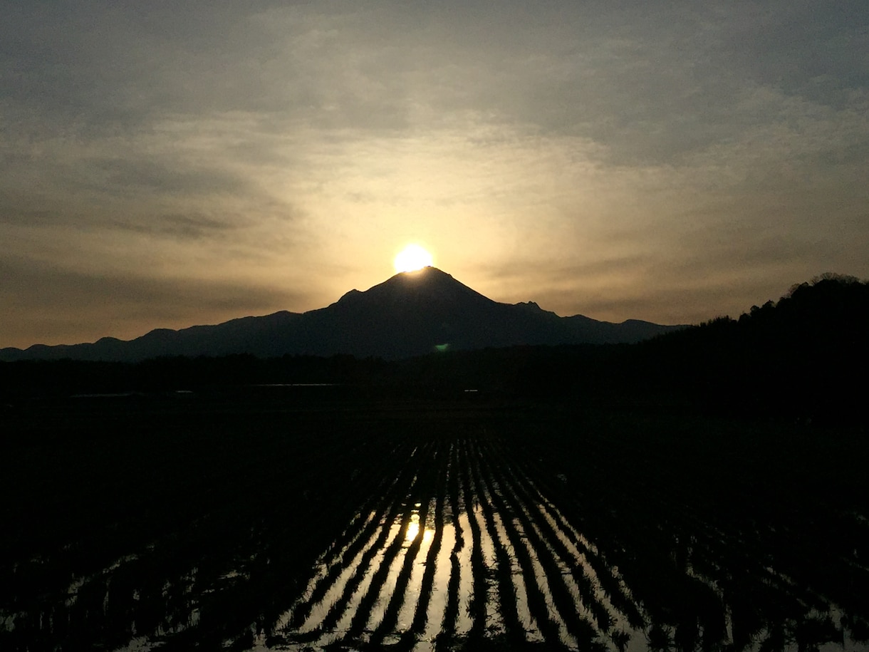 あなたの天職、使命、ワクワクポイントを鑑定します 自分が本当にやりたいことが何か分からなくなっちゃった方へ イメージ1