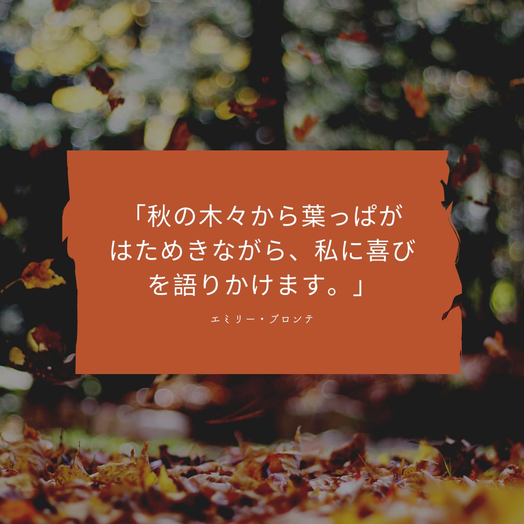 instagramの広告作ります おしゃれなインスタの広告を代わりに作ります！ イメージ3