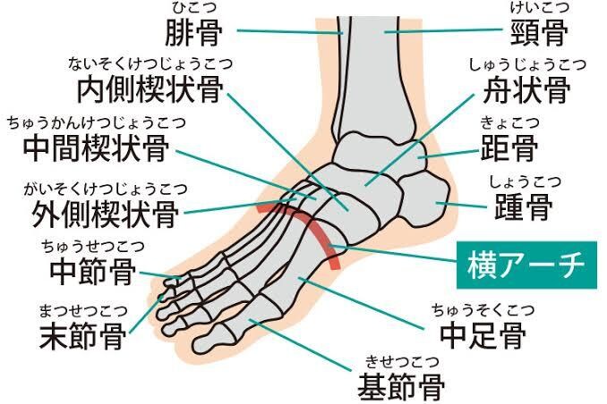 足のデトックスの講習をします 3時間で習得！顧客も満足な器具不要メニュー！ イメージ1
