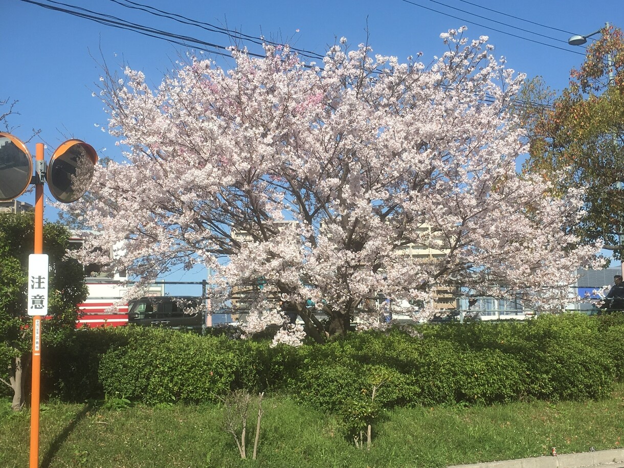 今日の出来事/日々の愚痴なんでも聴いて癒します ちょっとした日常の些細な出来事から日々の愚痴や悩み聞きます！ イメージ9