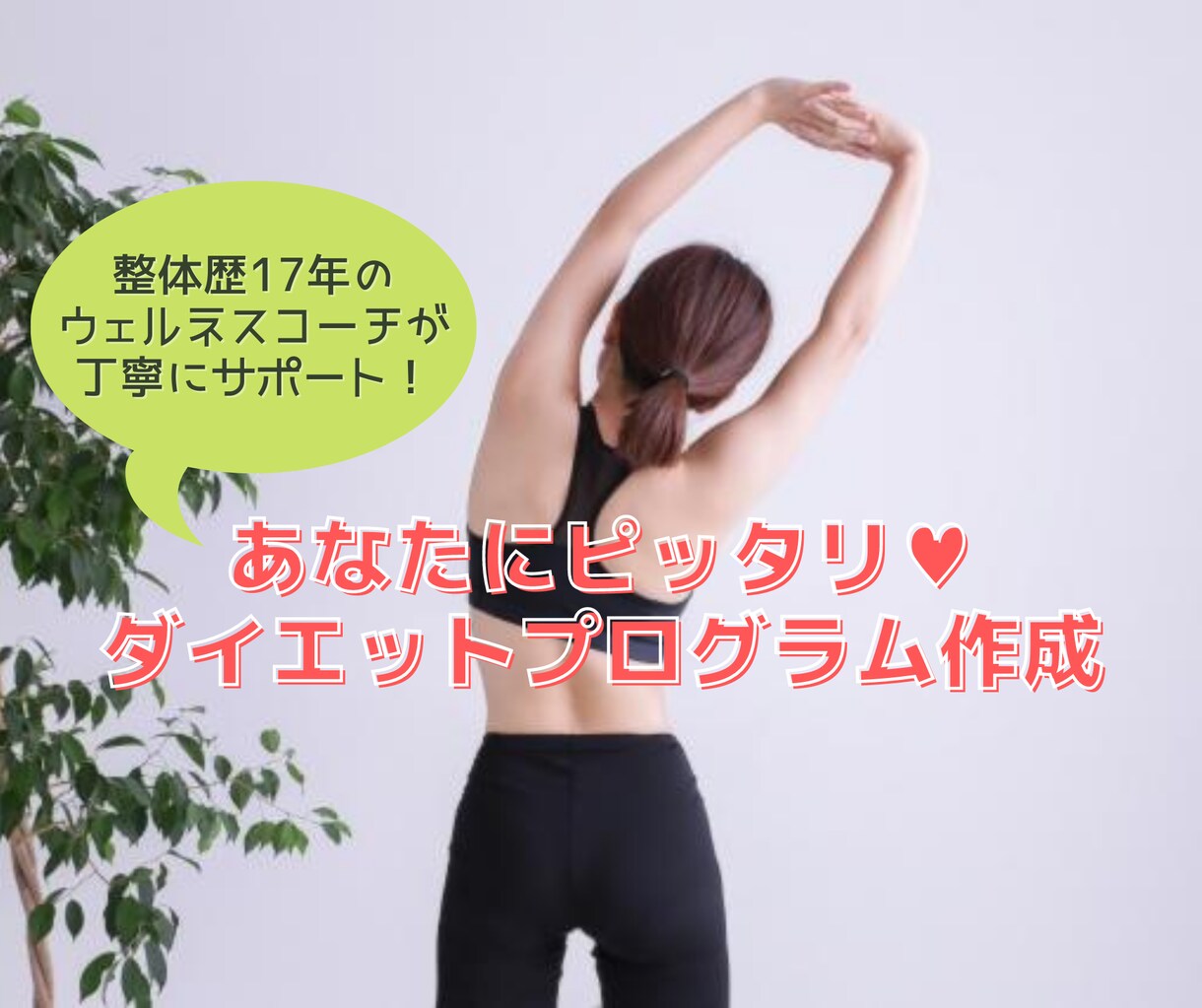 あなただけのダイエットプログラム作ります 整体師＆栄養の専門家が望む身体へとサポート イメージ1