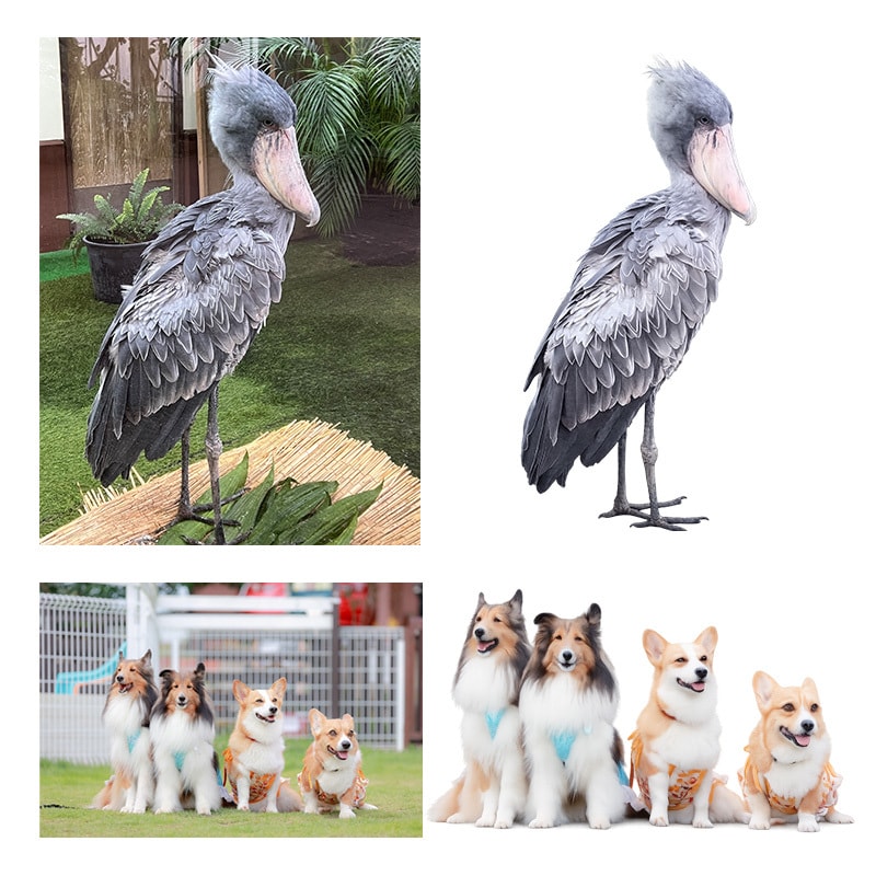 背景削除・白抜き・合成対応いたします 画像を“スッキリ魅せる”キリヌキ加工します イメージ1
